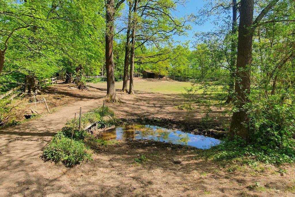 Pferdeparadies Untergruenhagen Bad Fallingbostel Exterior foto